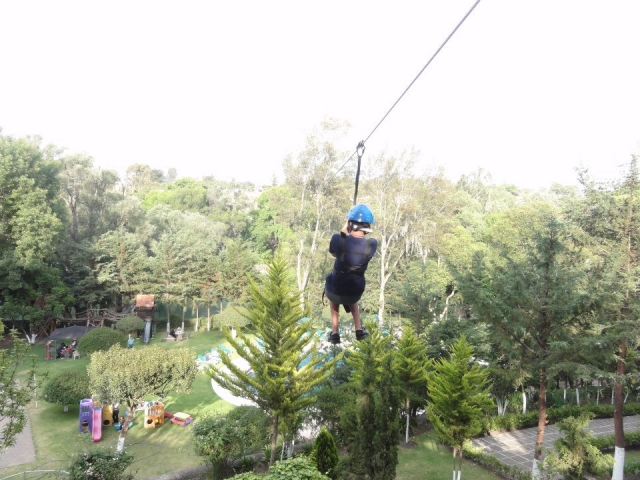 Vuela sobre los jardines